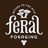 Feral Foraging YouTube channel -- wild plant identification and ethical foraging education