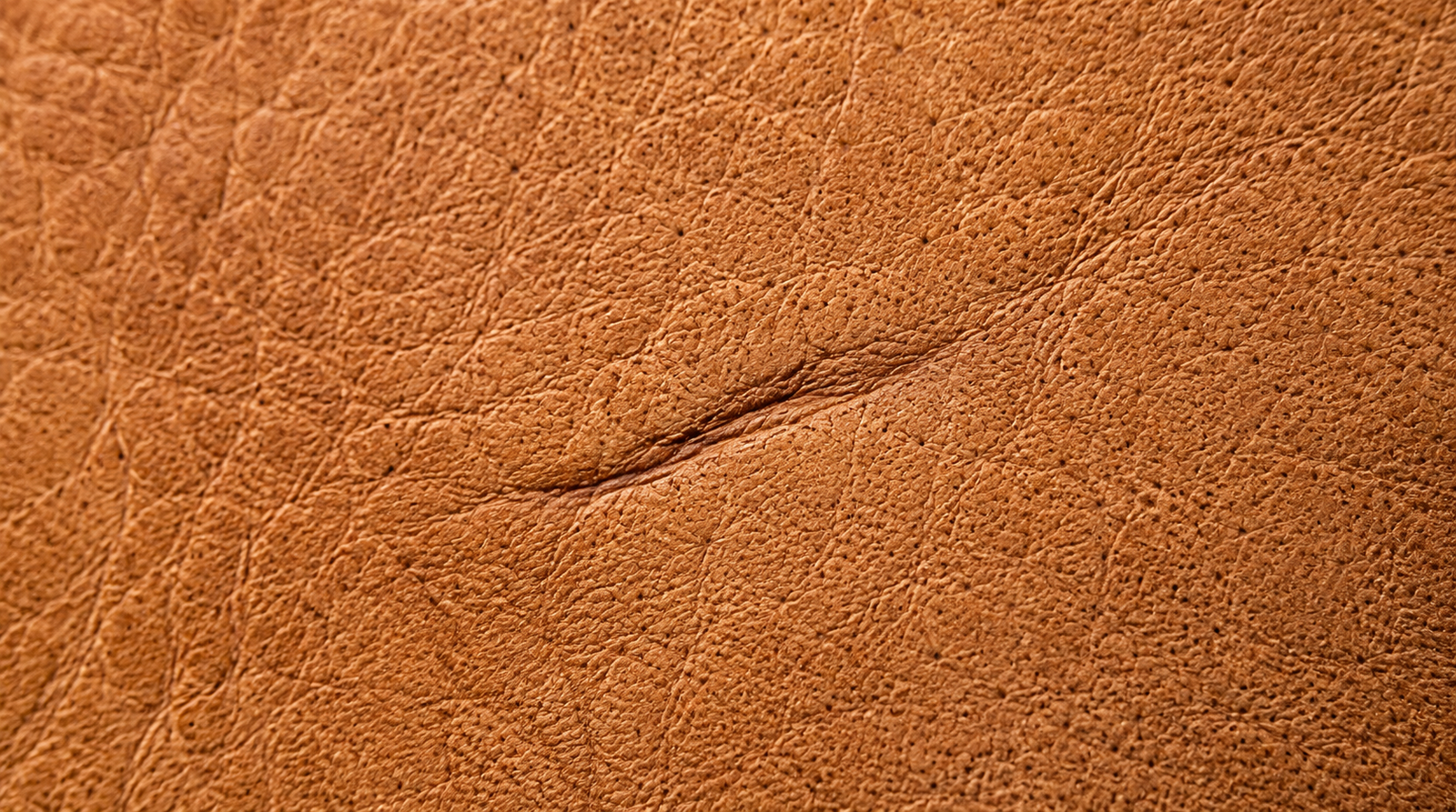 Extreme close-up of natural tan full grain leather surface showing open pores, grain variation, and a healed scar running across the hide